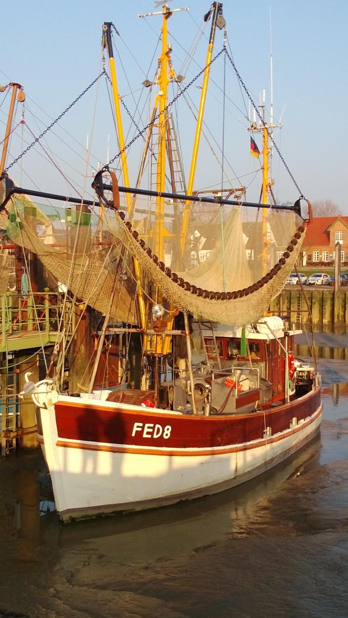 Ferienwohnung Conny Butjadingen Exterior foto